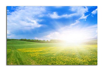 Fototapeta Slnečné svetlo 24830